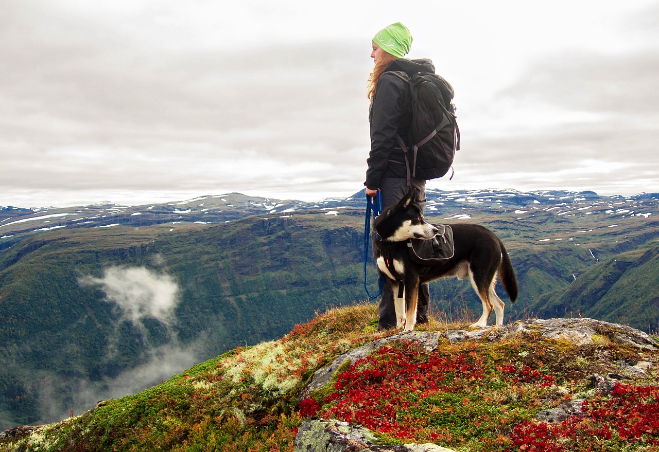 hiking with dogs